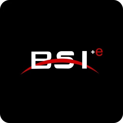 BSI E-commerce